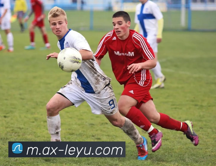 App Interface Preview